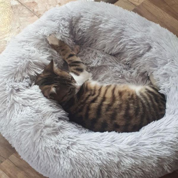 cat beds & furniture round pet bed nest long plush winter puppy house mat warm sleeping mattress for small dogs cats
cat beds & furniture round pet bed nest long plush winter puppy house mat warm sleeping mattress for small dogs cats