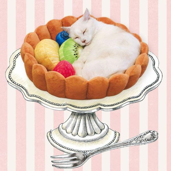 kennels & pens pet nest kawaii cute cake shaped cotton bed for cats small dog funny decoration kitten washable durable sleep pad cave
kennels & pens pet nest kawaii cute cake shaped cotton bed for cats small dog funny decoration kitten washable durable sleep pad cave