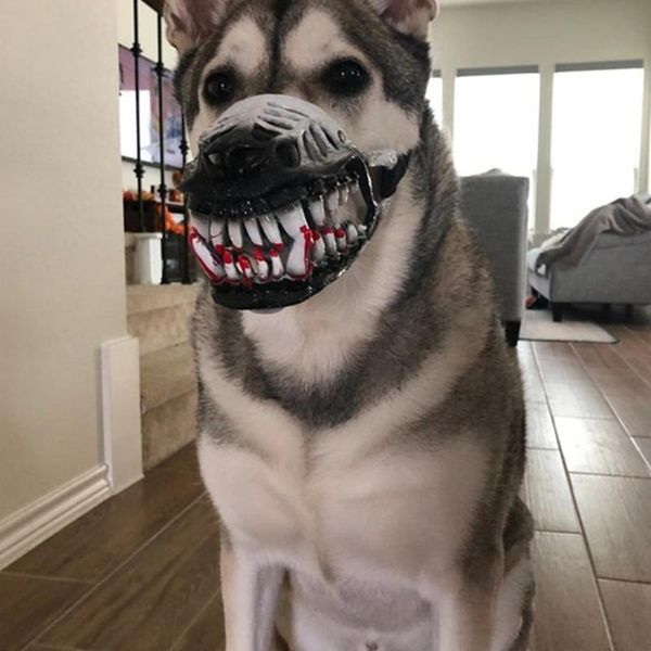 cat costumes funny dog face cover halloween cosplay costume props bloody suppl barking mouth anti-biting breathable chewing pet be w9w6
cat costumes funny dog face cover halloween cosplay costume props bloody suppl barking mouth anti-biting breathable chewing pet be w9w6