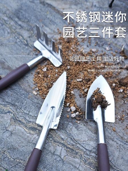 stainless steel mini fleshy garden shovel small three piece set of planting flowers family gardening tools household planters & pots
stainless steel mini fleshy garden shovel small three piece set of planting flowers family gardening tools household planters & pots