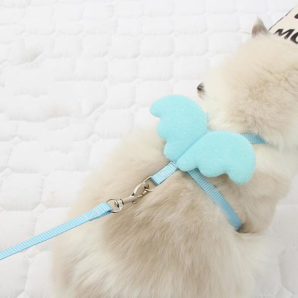 cat collars & leads wing harness and leash set ajustable pet supplies medium little dogs rope fashion cute pets collar kitten lead accessori
cat collars & leads wing harness and leash set ajustable pet supplies medium little dogs rope fashion cute pets collar kitten lead accessori