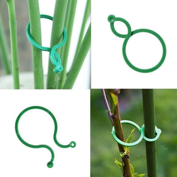 planters & pots 50/100/200 pcs plant support garden clips trellis for vine vegetable tomato to grow upright stand tool
planters & pots 50/100/200 pcs plant support garden clips trellis for vine vegetable tomato to grow upright stand tool