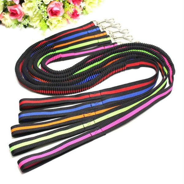 large dogs cats leash elastic pet cat puppy dog anti dash pull lead 190cm retractable for collar collars & leashes
large dogs cats leash elastic pet cat puppy dog anti dash pull lead 190cm retractable for collar collars & leashes