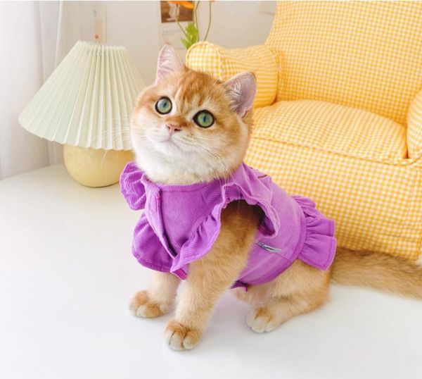 cat costumes clothes for small cats clothing pet dog coat cotton jacket chihuahua outfit
cat costumes clothes for small cats clothing pet dog coat cotton jacket chihuahua outfit