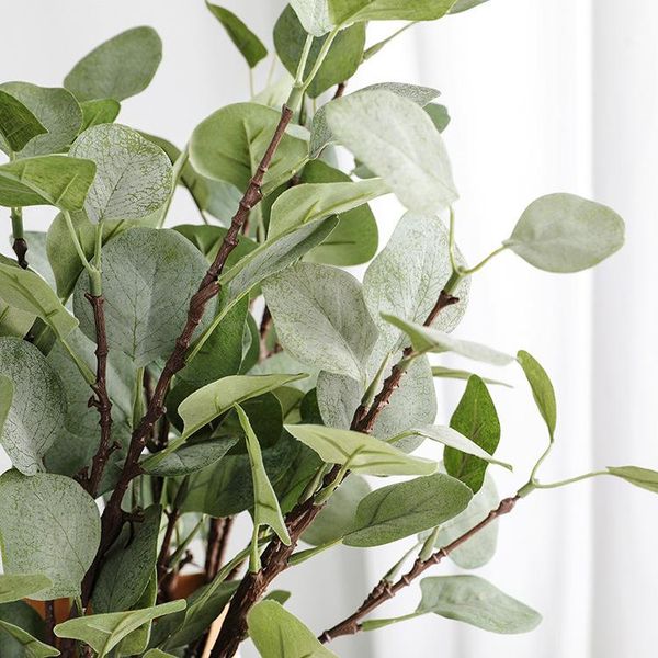 decorative flowers & wreaths eucalyptus gardenery plant artificial pot leaf greenery fake plants silver dollar decor
decorative flowers & wreaths eucalyptus gardenery plant artificial pot leaf greenery fake plants silver dollar decor