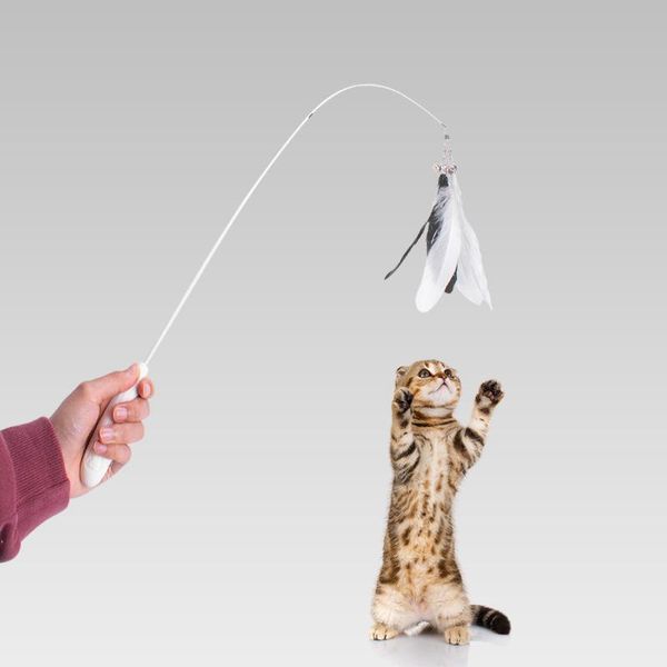 cat toys toy feather bell for cats playing flexible handle interactive pet accessories ball
cat toys toy feather bell for cats playing flexible handle interactive pet accessories ball