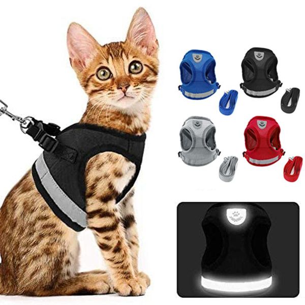 cat collars & leads harness vest and car seat belt adapter adjustable reflective soft mesh for escape proof puppy kitty
cat collars & leads harness vest and car seat belt adapter adjustable reflective soft mesh for escape proof puppy kitty