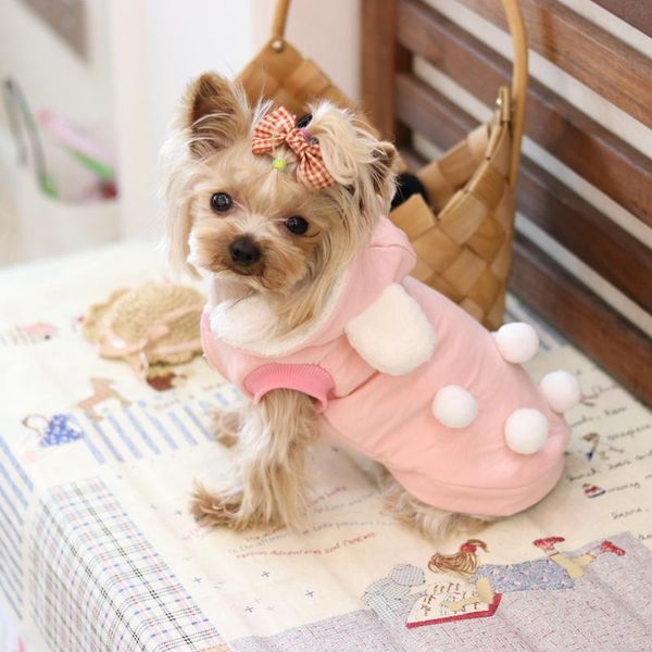 dog apparel little balls lovely ear yorkie fleece thick coat jackets hoodies clothing chihuahua dogs products pet cats autumn winter 17zf162
dog apparel little balls lovely ear yorkie fleece thick coat jackets hoodies clothing chihuahua dogs products pet cats autumn winter 17zf162