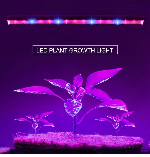 grow lights 57cm 29cm t5 tube led light phyto lamp ac 85-265v eu us plug phytolamp for plants growth flower seedling
grow lights 57cm 29cm t5 tube led light phyto lamp ac 85-265v eu us plug phytolamp for plants growth flower seedling