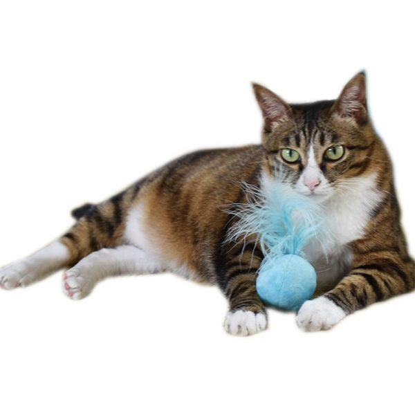 cat toys pet plush bell ball toy colorful handmade bouncy kitten mouse planet interactive supplies
cat toys pet plush bell ball toy colorful handmade bouncy kitten mouse planet interactive supplies