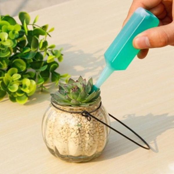 planters & pots 1/2pcs hydroponic liquid plant fertilizer nutrient solutions seedling recovery root nov99
planters & pots 1/2pcs hydroponic liquid plant fertilizer nutrient solutions seedling recovery root nov99