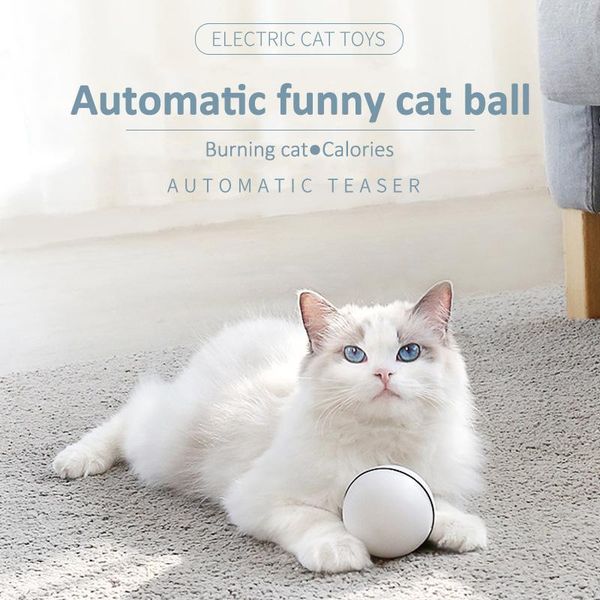 cat toys ball interactive led glowing automatic 360 degree playing for usb charging smart pet jumping balls
cat toys ball interactive led glowing automatic 360 degree playing for usb charging smart pet jumping balls