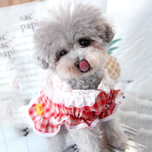 dog apparel dress skirt for clothes red lattice lace lapel puppy small chihuahua outfits pet costume
dog apparel dress skirt for clothes red lattice lace lapel puppy small chihuahua outfits pet costume