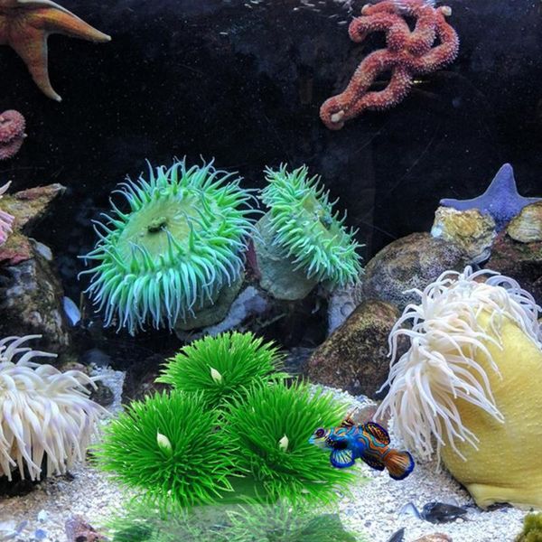decorations 1 set fish tank accessories toys comfortable rest seaweed aquatic plants
decorations 1 set fish tank accessories toys comfortable rest seaweed aquatic plants