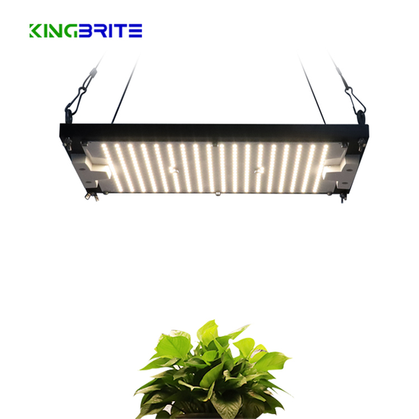 kingbrite 120w veg bloom switch samsung lm301h qb288 led board v4 3000k/3500k/4000k ip65 waterproof grow lights plant lamp
kingbrite 120w veg bloom switch samsung lm301h qb288 led board v4 3000k/3500k/4000k ip65 waterproof grow lights plant lamp