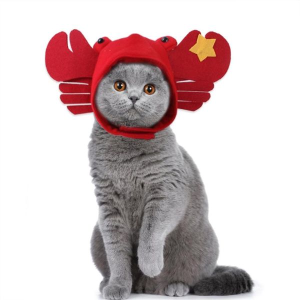 cat costumes pet dog hat halloween costume cap lovely red crab headdress holiday decoration accessories
cat costumes pet dog hat halloween costume cap lovely red crab headdress holiday decoration accessories