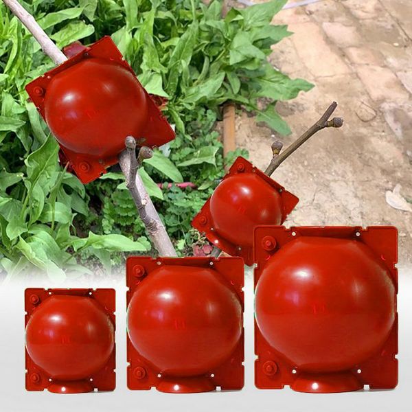 5pcs plant rooting ball grafting growing box breeding case for garden high-pressure propagation sapling planters & pots
5pcs plant rooting ball grafting growing box breeding case for garden high-pressure propagation sapling planters & pots