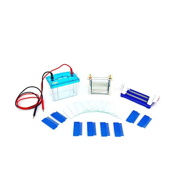 lab supplies vertical electrophoresis cell apparatus modular dual dycz-24dh for sds page protein
lab supplies vertical electrophoresis cell apparatus modular dual dycz-24dh for sds page protein