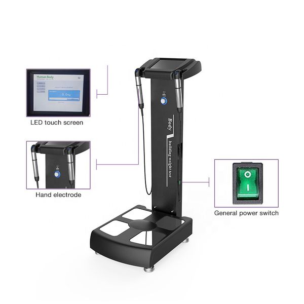 gs6.5 professional bmi digital height weight test inbody 3d bodyscan body composition analyzer with printer
gs6.5 professional bmi digital height weight test inbody 3d bodyscan body composition analyzer with printer