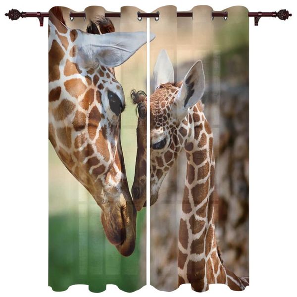 giraffe snuggle semi-blackout curtains for living room bedroom curtain fabrics finished hanging & drapes
giraffe snuggle semi-blackout curtains for living room bedroom curtain fabrics finished hanging & drapes
