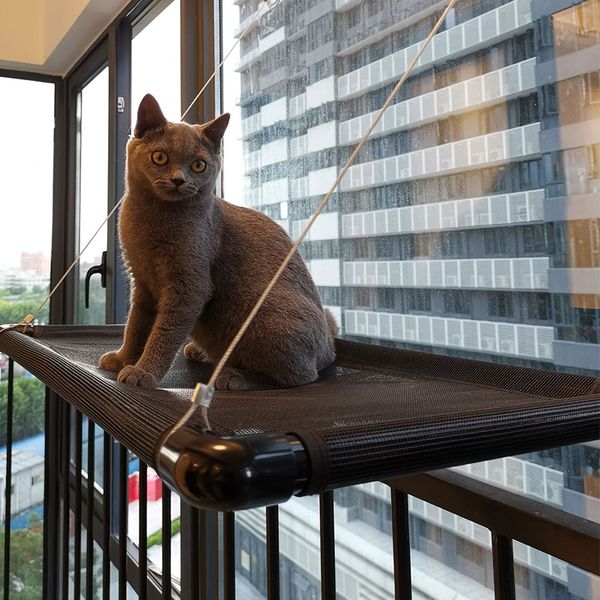 arge Cat Window Hammock Suction Cup Big Cat Kitten Hammock Breathabe Mesh Pet Bed Cozy Cat Nest oad-bearing 20kg
arge Cat Window Hammock Suction Cup Big Cat Kitten Hammock Breathabe Mesh Pet Bed Cozy Cat Nest oad-bearing 20kg