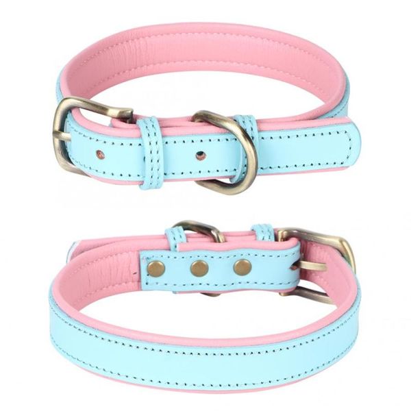 dog collars & leashes puppy harness leash light blue artificial leather bronze metal buckle head pet collar neck strap for small medium size
dog collars & leashes puppy harness leash light blue artificial leather bronze metal buckle head pet collar neck strap for small medium size
