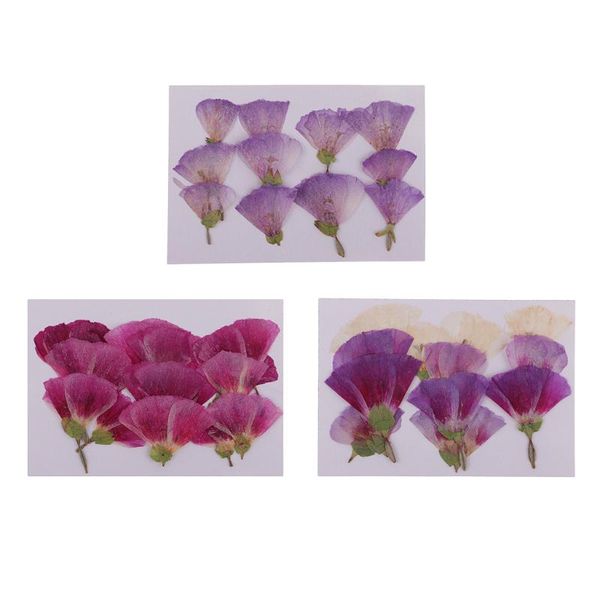 decorative flowers & wreaths magideal 12x pressed real godetia flower dried diy phone case scrapbook craft artificia for wedding invitations
decorative flowers & wreaths magideal 12x pressed real godetia flower dried diy phone case scrapbook craft artificia for wedding invitations