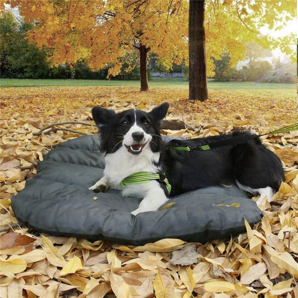 kennels & pens pet mats comfortable and portable machine washable fit indoor outdoor use for dogs cat four seasons sleeping mat cushion
kennels & pens pet mats comfortable and portable machine washable fit indoor outdoor use for dogs cat four seasons sleeping mat cushion