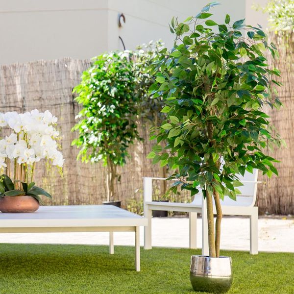decorative flowers & wreaths artificial plant, tree with natural logs, for home decoration, bamboo, ficus, wisteria, olive, eucalyptus, almo
decorative flowers & wreaths artificial plant, tree with natural logs, for home decoration, bamboo, ficus, wisteria, olive, eucalyptus, almo