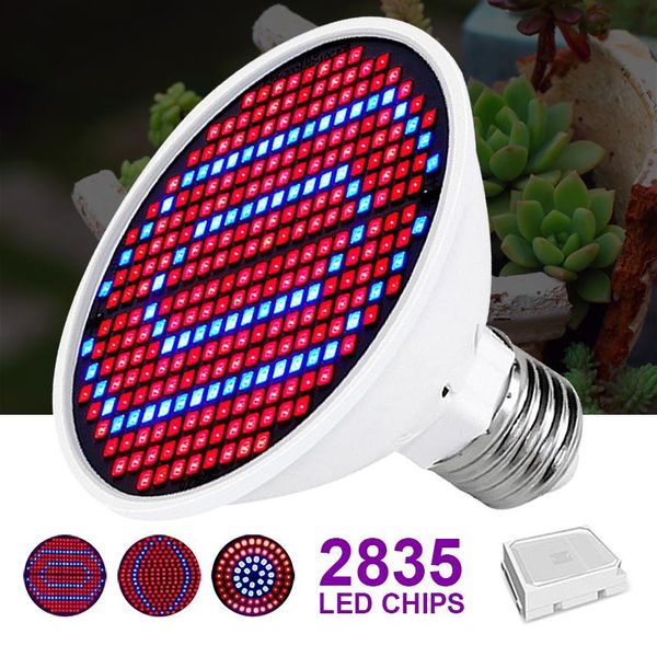 grow lights led light growth lamp indoor lighting hydroponic tent bulb e27 phytolamp for plant full spectrum
grow lights led light growth lamp indoor lighting hydroponic tent bulb e27 phytolamp for plant full spectrum