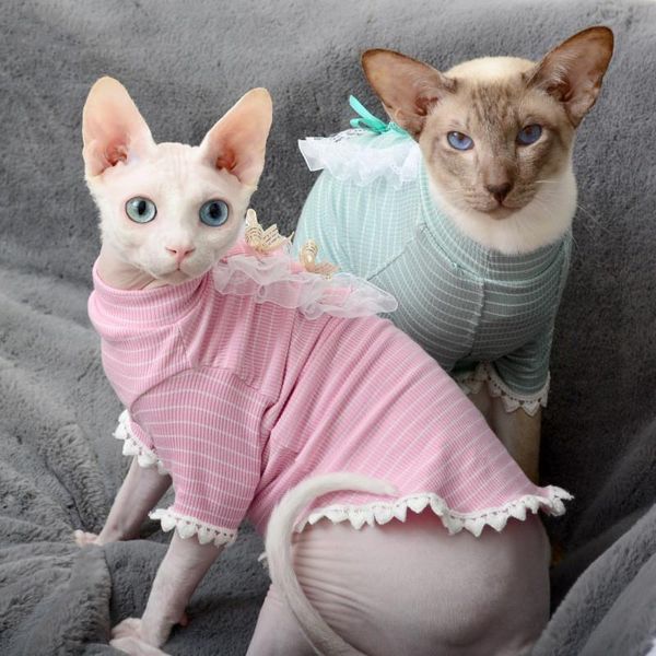 cat clothes spring-summer thin hairless cute pet bottoming shirt garfield anti-hair falling accessories costumes
cat clothes spring-summer thin hairless cute pet bottoming shirt garfield anti-hair falling accessories costumes