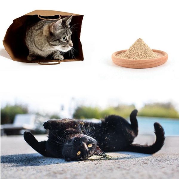 cat toys pet spit hair helps digestive matatabi actinidia wood scorpion powder toy cats snack
cat toys pet spit hair helps digestive matatabi actinidia wood scorpion powder toy cats snack