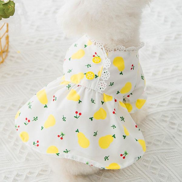 pet clothes small fresh floral puff sleeve teddy puppy dog cat print vest skirt shirt tshirt apparel
pet clothes small fresh floral puff sleeve teddy puppy dog cat print vest skirt shirt tshirt apparel