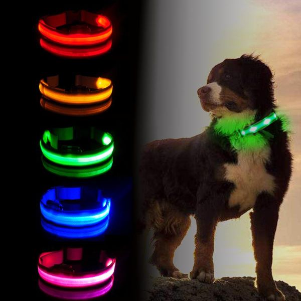 luminous usb collar led dog cat accessories products pet animals harness goods for dogs small collars & leashes
luminous usb collar led dog cat accessories products pet animals harness goods for dogs small collars & leashes