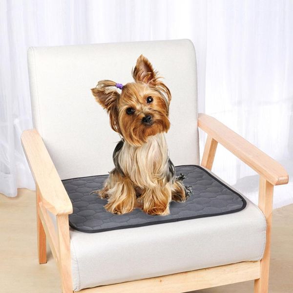 pets cleaning mats washable for guinea pig, hamsters, rabbits, chinchillas beds changing pad accessories kennels & pens
pets cleaning mats washable for guinea pig, hamsters, rabbits, chinchillas beds changing pad accessories kennels & pens