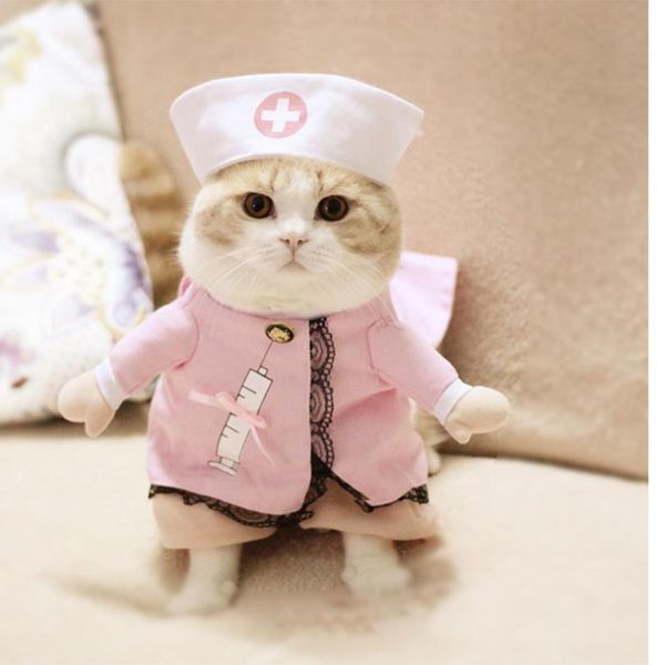 cat costumes pet dog clothing cosplay role playing suit funny clothes halloween dressing up party costume outfits puppy kitten apparel
cat costumes pet dog clothing cosplay role playing suit funny clothes halloween dressing up party costume outfits puppy kitten apparel
