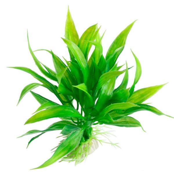 fish tank aquarium decor green artificial plastic water grass plant ornament x7je decorations
fish tank aquarium decor green artificial plastic water grass plant ornament x7je decorations
