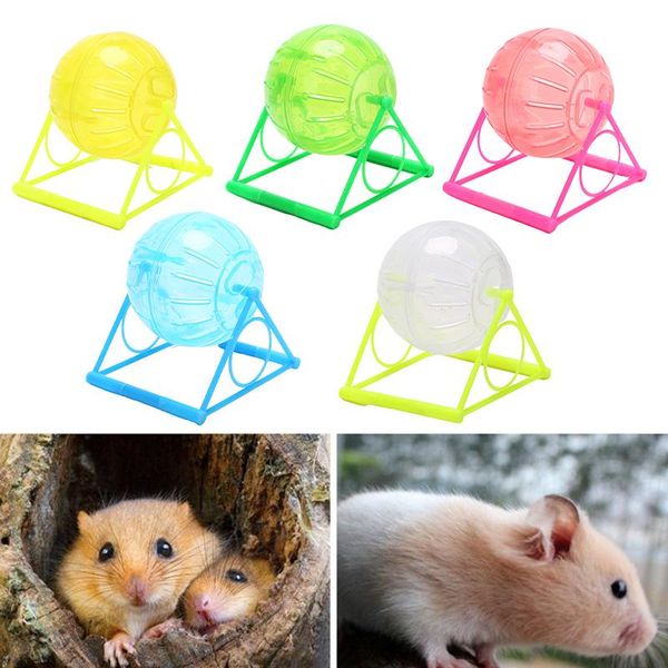 small animal supplies 1pcs plastic pet rodent mice jogging ball toy hamster gerbil rat exercise balls play toys
small animal supplies 1pcs plastic pet rodent mice jogging ball toy hamster gerbil rat exercise balls play toys