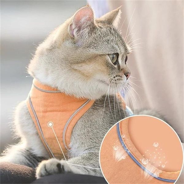 cat collars & leads #56 pet collar belt and leash set walking lead for puppy dogs adjustable harness vest mesh polyester
cat collars & leads #56 pet collar belt and leash set walking lead for puppy dogs adjustable harness vest mesh polyester