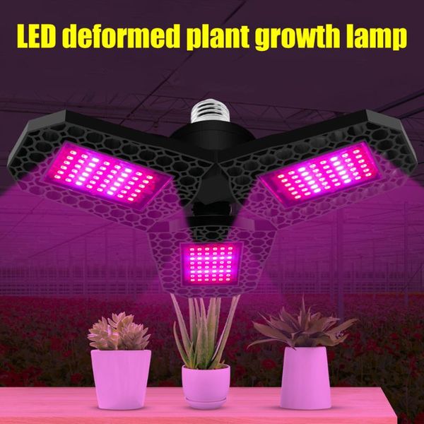 grow lights e27/e26 led deformed folding plant light seedling red blue sunlight full spectrum lamps growbox indoor hydroponics
grow lights e27/e26 led deformed folding plant light seedling red blue sunlight full spectrum lamps growbox indoor hydroponics