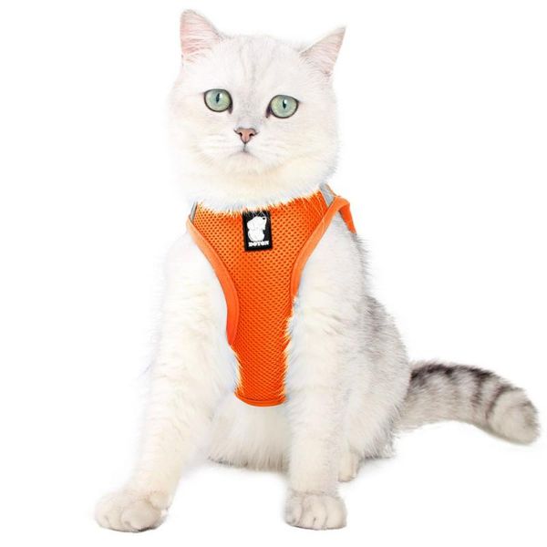 cat collars & leads pet collar breathable anti-breakaway with tethered rope chain traction chest strap puppy harness leash
cat collars & leads pet collar breathable anti-breakaway with tethered rope chain traction chest strap puppy harness leash