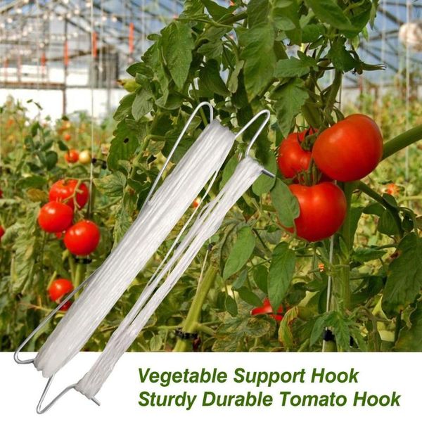 planters & pots 10pcs plant vegetable hook growth puller tomato support clips prevent tomatoe from pinching
planters & pots 10pcs plant vegetable hook growth puller tomato support clips prevent tomatoe from pinching