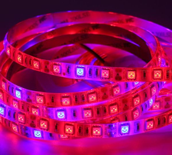 full spectrum led grow lights waterproof 5red 1blue 4+1 3+1 aquarium lighting greenhouse hydroponic plant growing lamp strips
full spectrum led grow lights waterproof 5red 1blue 4+1 3+1 aquarium lighting greenhouse hydroponic plant growing lamp strips