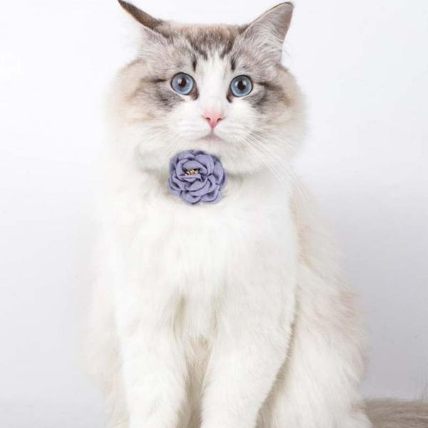cat collars & leads fine craftsmanship lovely floral pet cats collar soft strong for taking po
cat collars & leads fine craftsmanship lovely floral pet cats collar soft strong for taking po