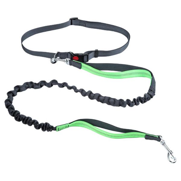 dog collars & leashes anti lost bungee long elastic adjustable belts dual handle leash reflective lead accessories hands running pet su
dog collars & leashes anti lost bungee long elastic adjustable belts dual handle leash reflective lead accessories hands running pet su