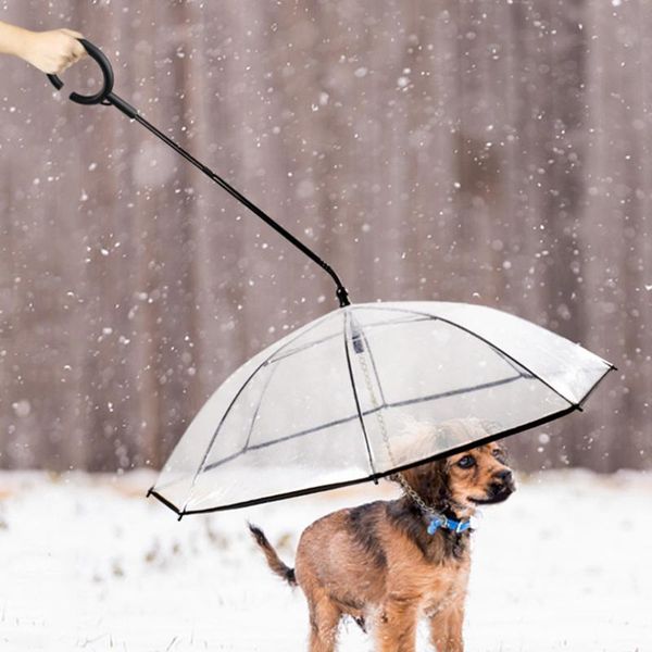 dog car seat covers c-shaped handle transparent adjustable convenient keeps pet dry in rain umbrella with leash for walking
dog car seat covers c-shaped handle transparent adjustable convenient keeps pet dry in rain umbrella with leash for walking