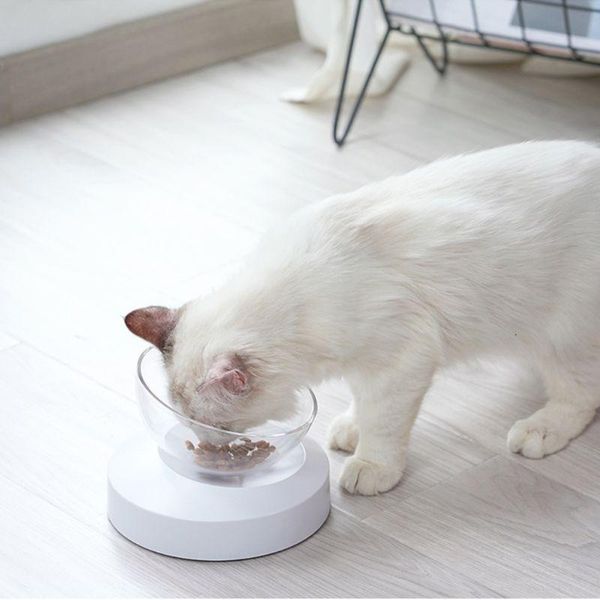raised cat dog bowl with transparent tilted bowl, detachable elevated bowls, stress dishwasher safe bowls & feeders
raised cat dog bowl with transparent tilted bowl, detachable elevated bowls, stress dishwasher safe bowls & feeders