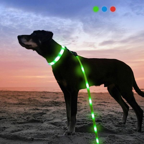 dog collars & leashes pet luminous traction rope collar usb charging led walking
dog collars & leashes pet luminous traction rope collar usb charging led walking