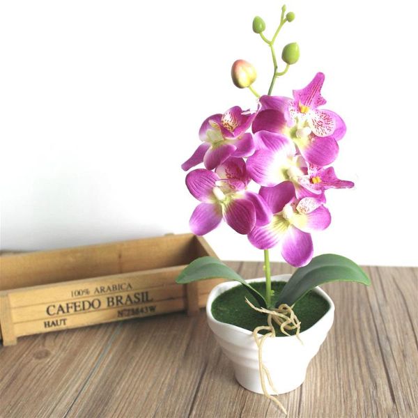 artificial orchid plant bonsai phalaenopsis real touch flower with leaves home decor birthday party decorations kids height 27cm decorative
artificial orchid plant bonsai phalaenopsis real touch flower with leaves home decor birthday party decorations kids height 27cm decorative