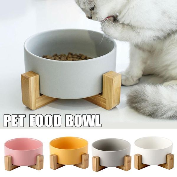 ceramic raised cat bowl pet with anti-slip wooden stand protect cervical spine feeding supplies y bowls & feeders
ceramic raised cat bowl pet with anti-slip wooden stand protect cervical spine feeding supplies y bowls & feeders